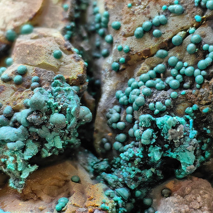 Chrysocolla on Quartz from mine tentadora