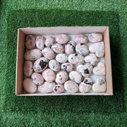 31 pc rhodonite with calcite hearts & palms