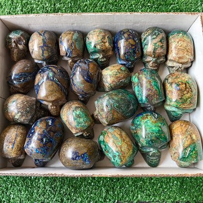 22 pc azurite with malachite skull