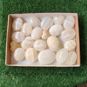 21 pc white onix palm & hearts