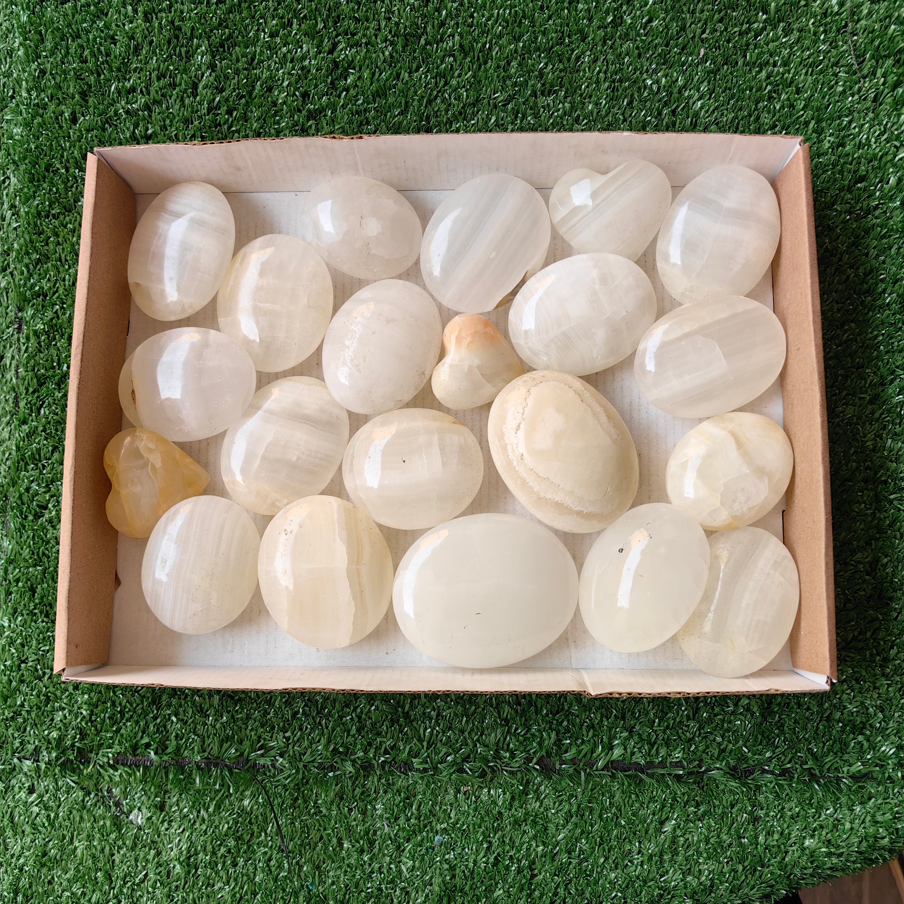 21 pc white onix palm & hearts