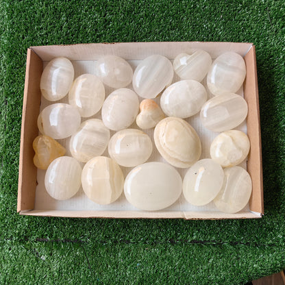 21 pc white onix palm & hearts