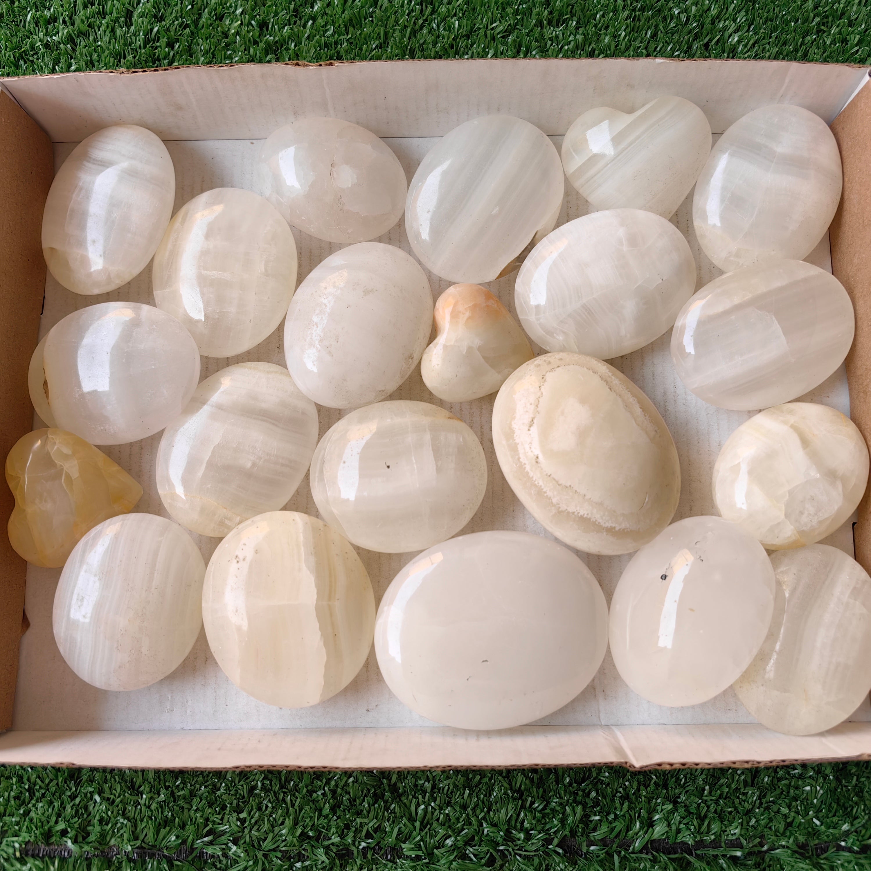 21 pc white onix palm & hearts