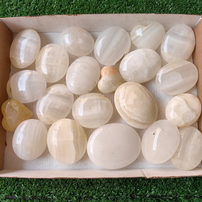 21 pc white onix palm & hearts