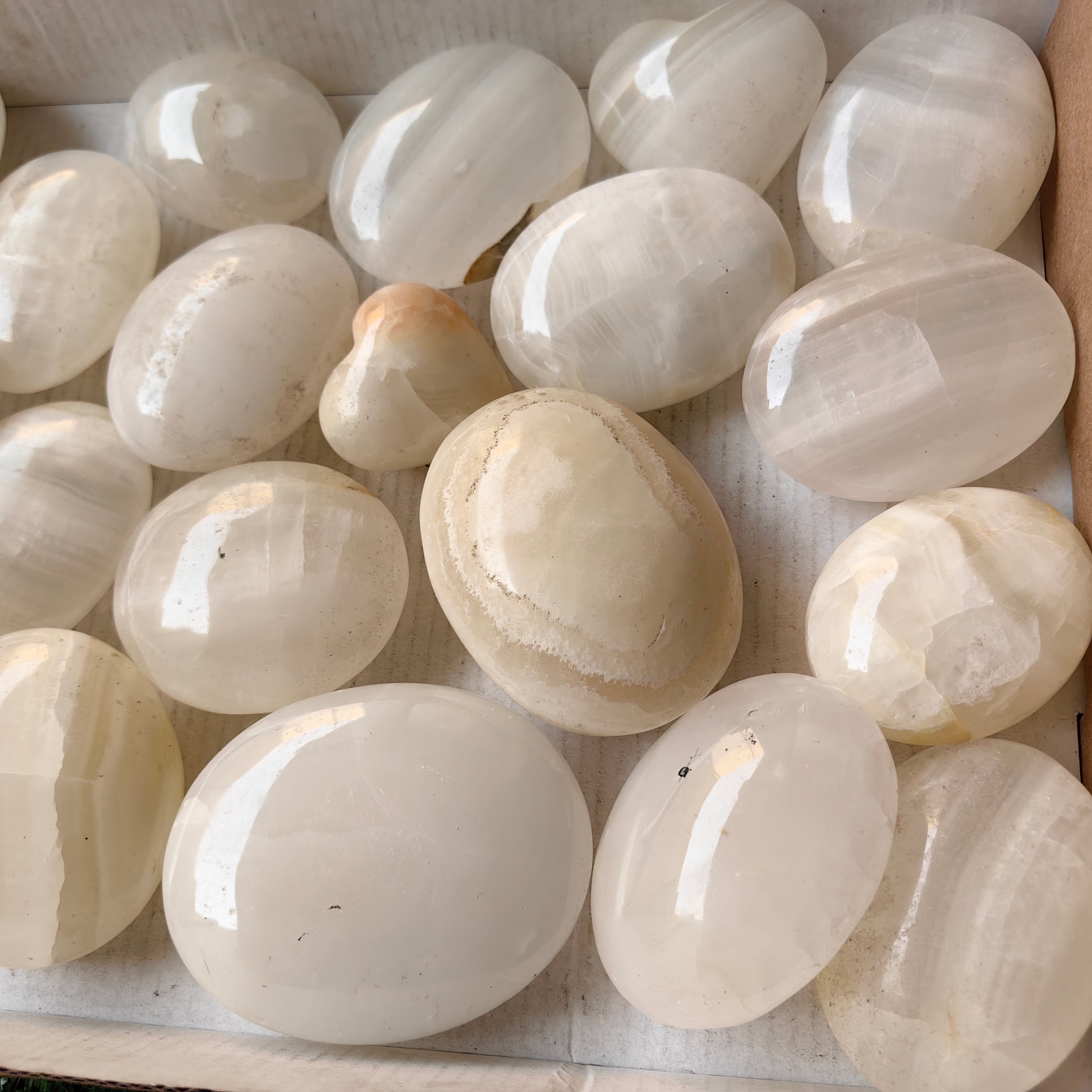 21 pc white onix palm & hearts