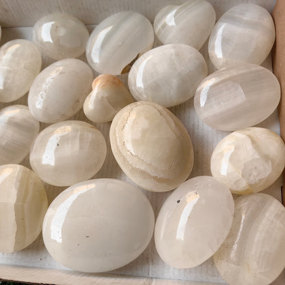 21 pc white onix palm & hearts