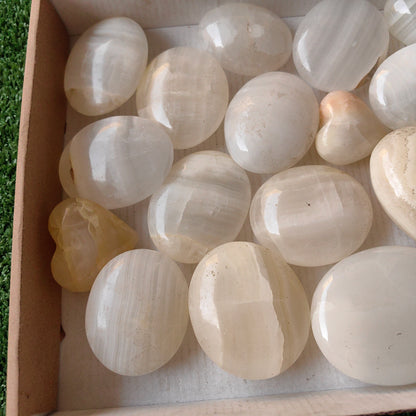 21 pc white onix palm & hearts