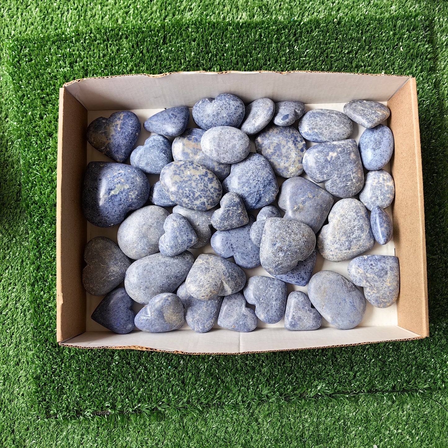 40 pc dumortorite palms & hearts