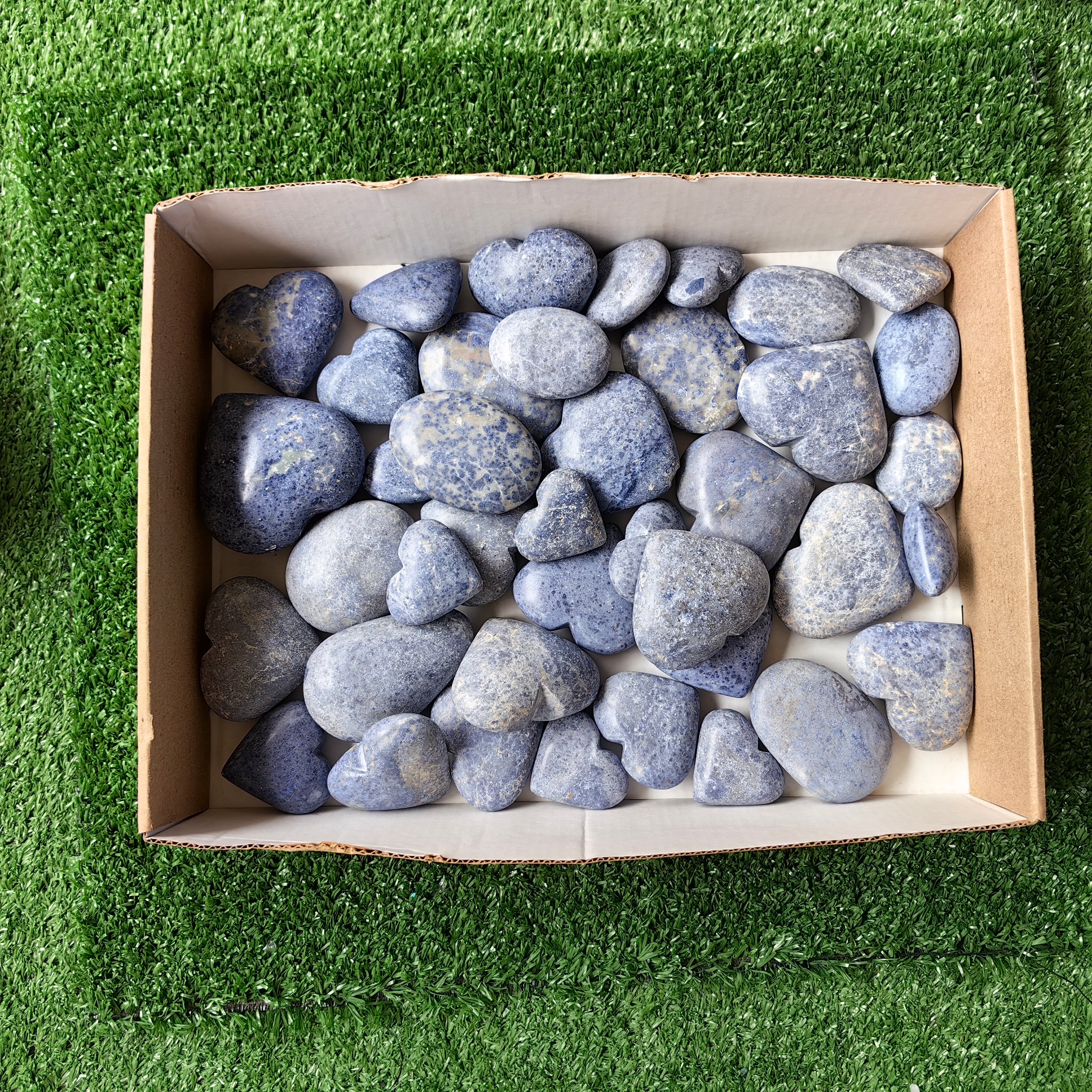 40 pc dumortorite palms & hearts