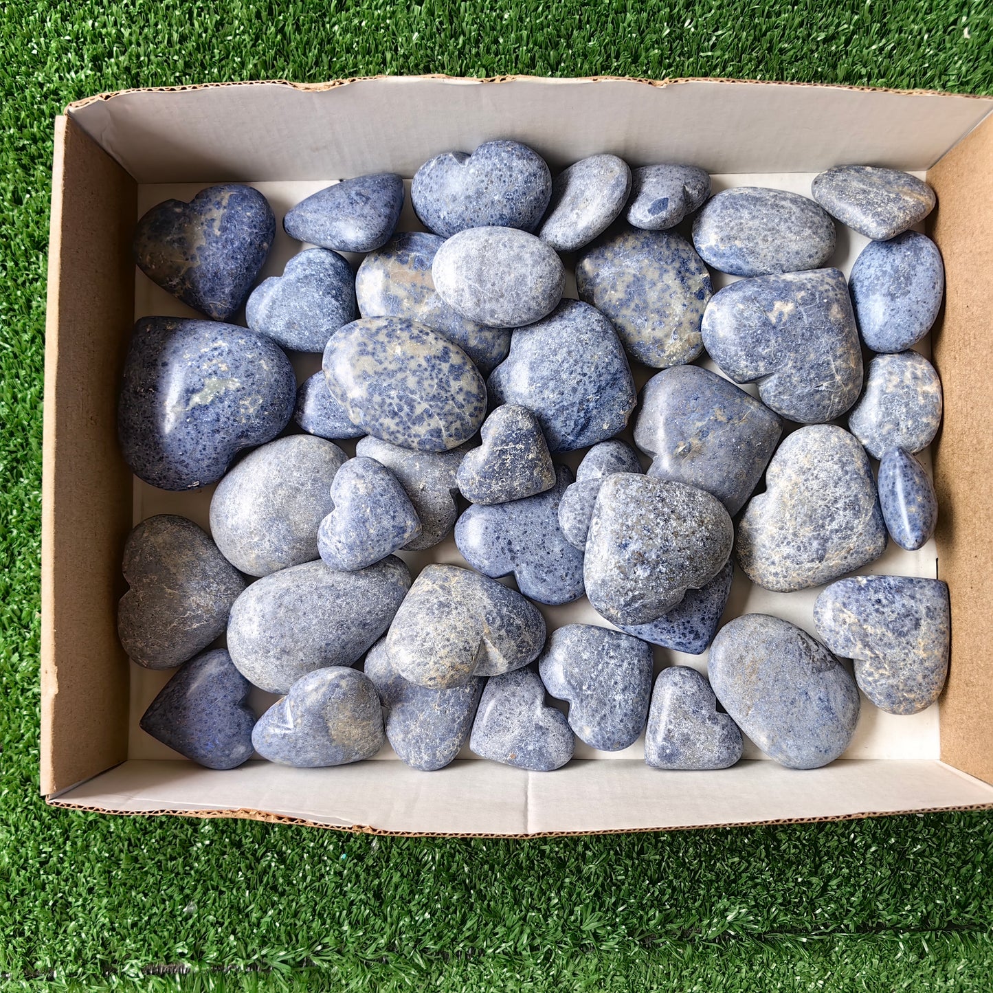 40 pc dumortorite palms & hearts