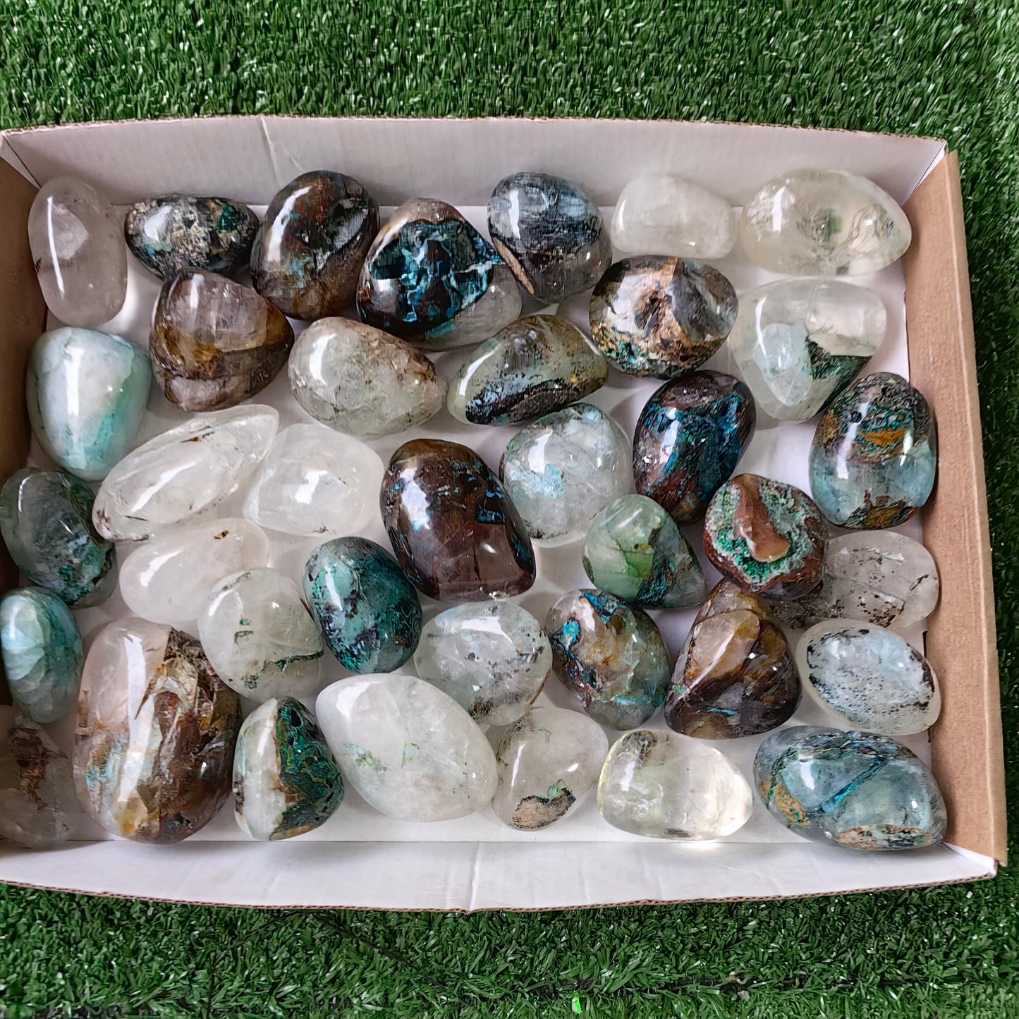 38 pc Chrysocolla on quartz Free Form
