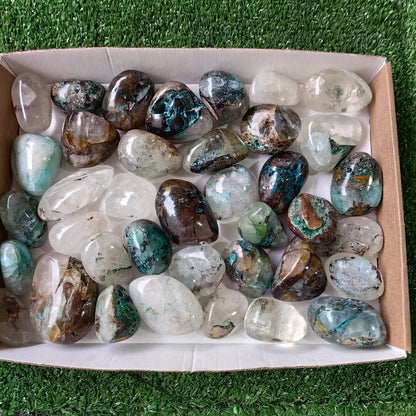 38 pc Chrysocolla on quartz Free Form