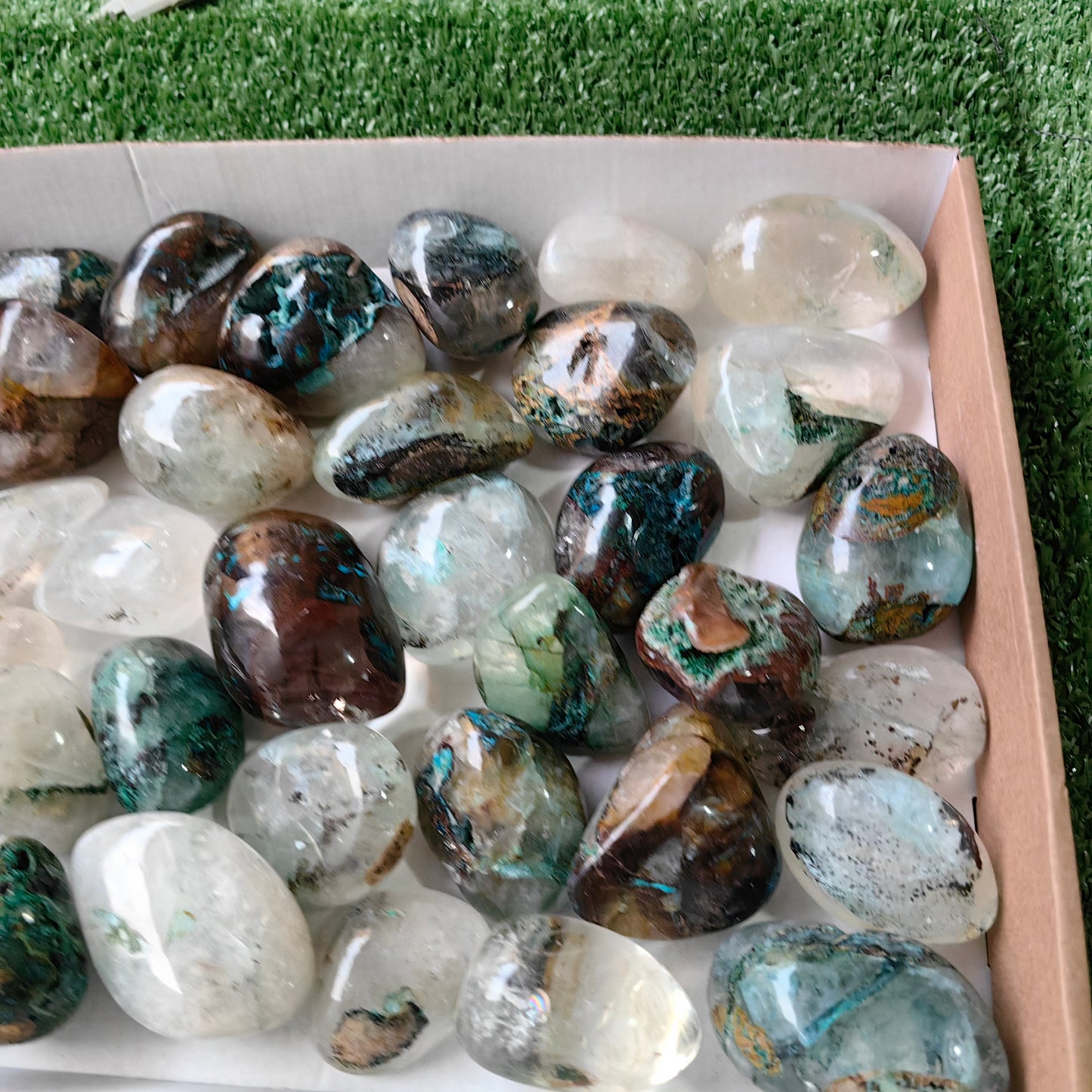 38 pc Chrysocolla on quartz Free Form