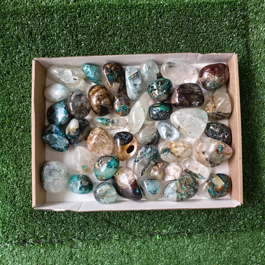 40 pc Chrysocolla on quartz Free Form