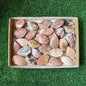 27 pc pink opal flames