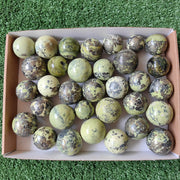 33 pcs serpentine with pyrite spheres