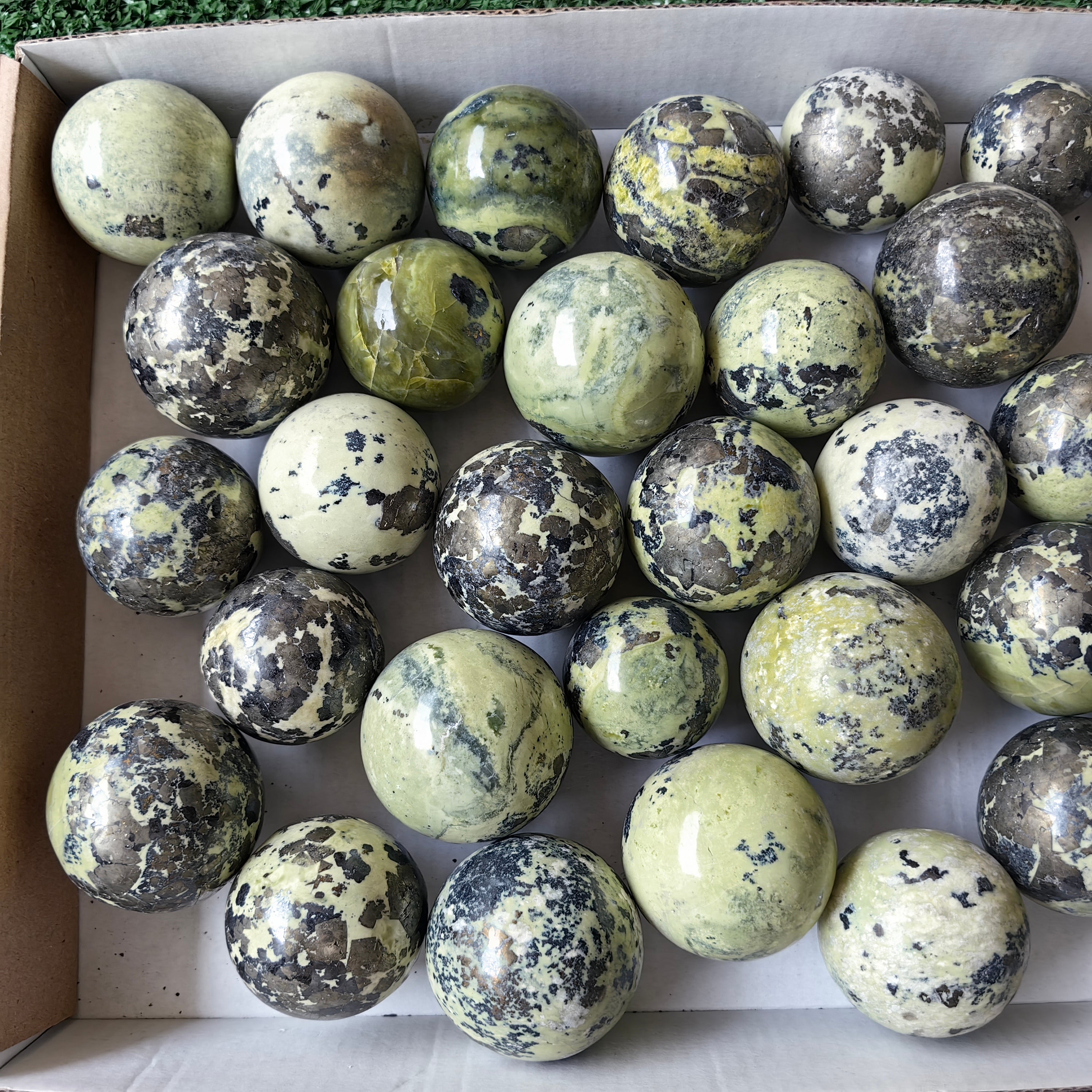 33 pcs serpentine with pyrite spheres