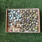 2 kg tumbled chrysoprase / blue opal / serpentine