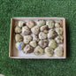 24 pcs hearts of visuvianite with garnet
