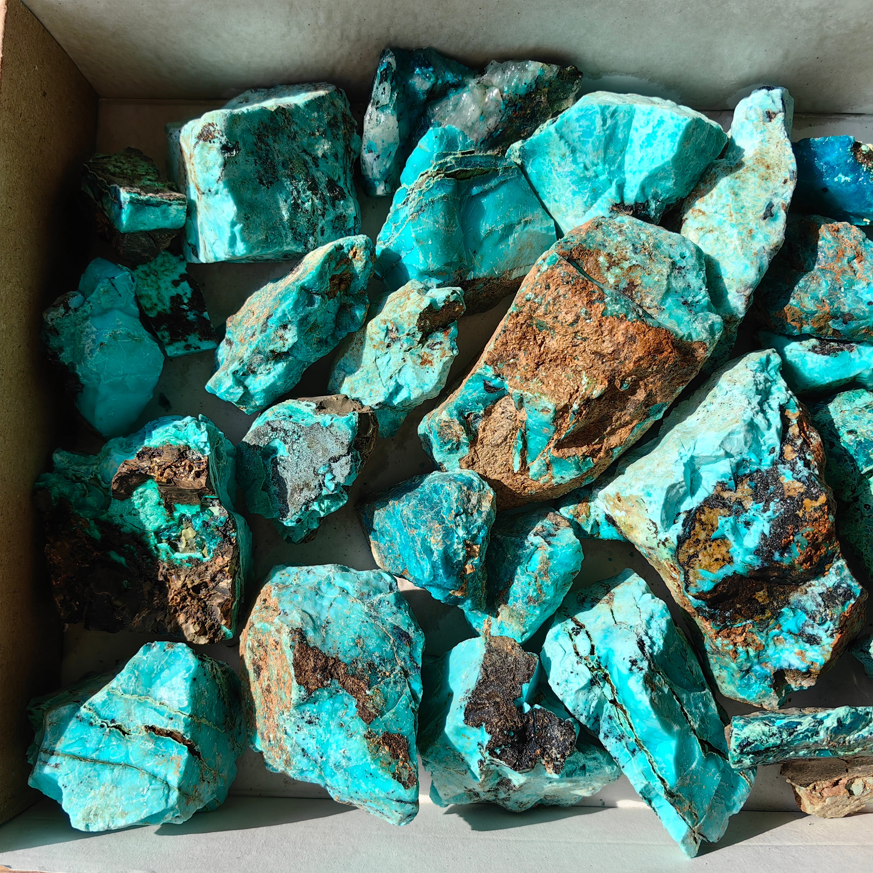 Lot 26 pcs Chrysocolla Rough
