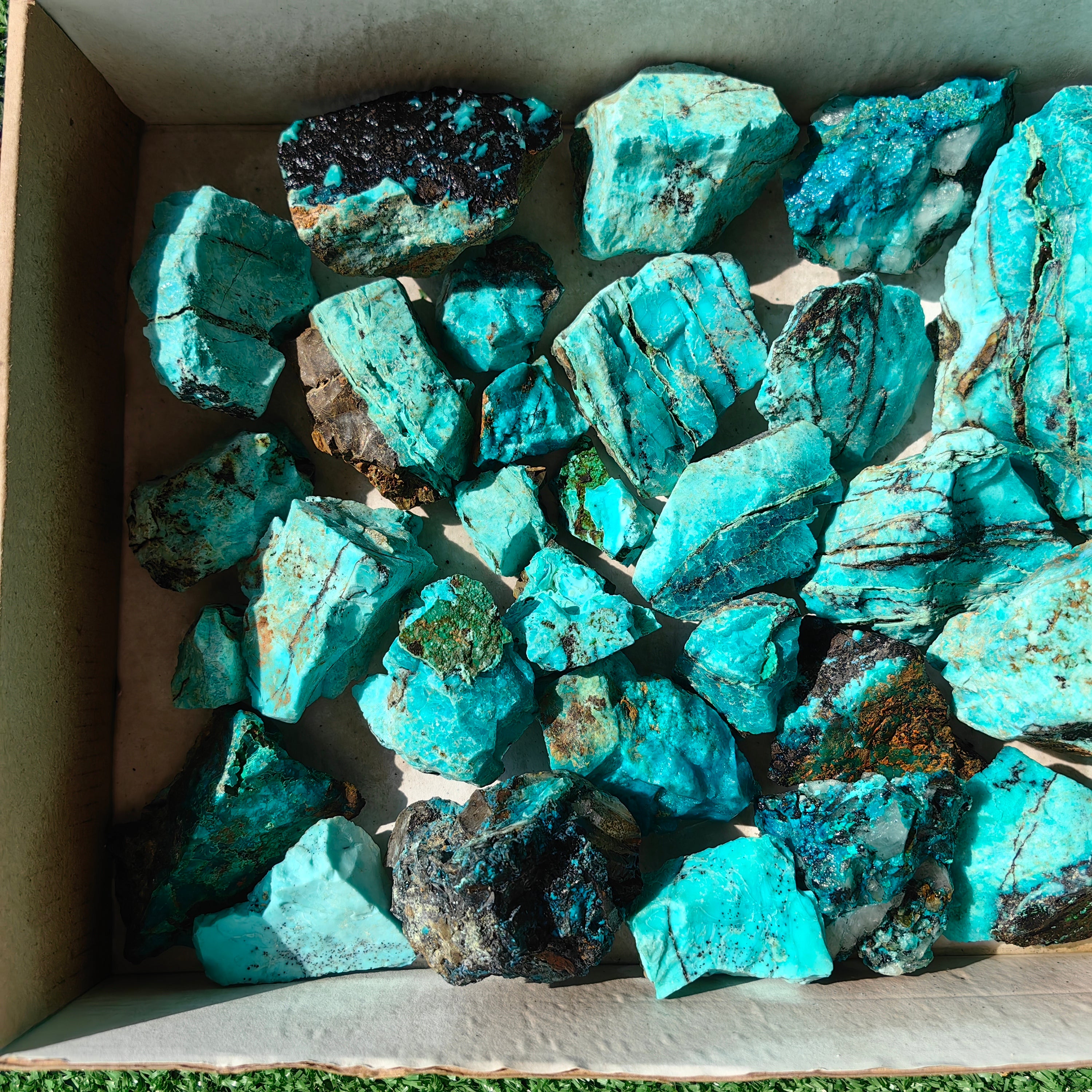 Lot 27 pcs Chrysocolla Rough
