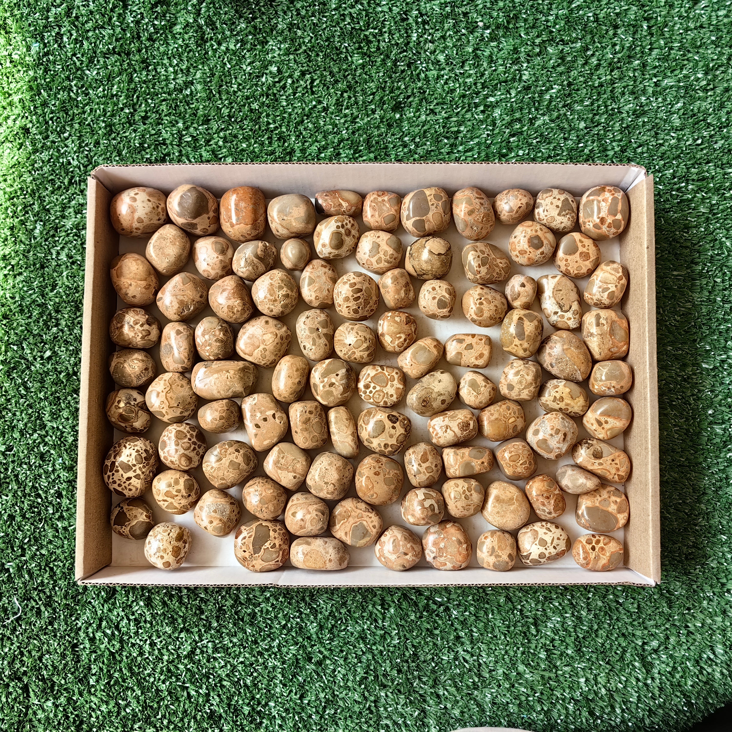 Lot 2 kg Leopardite Tumbled