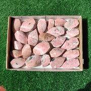 Lot 24 pcs Rhodonite Flame