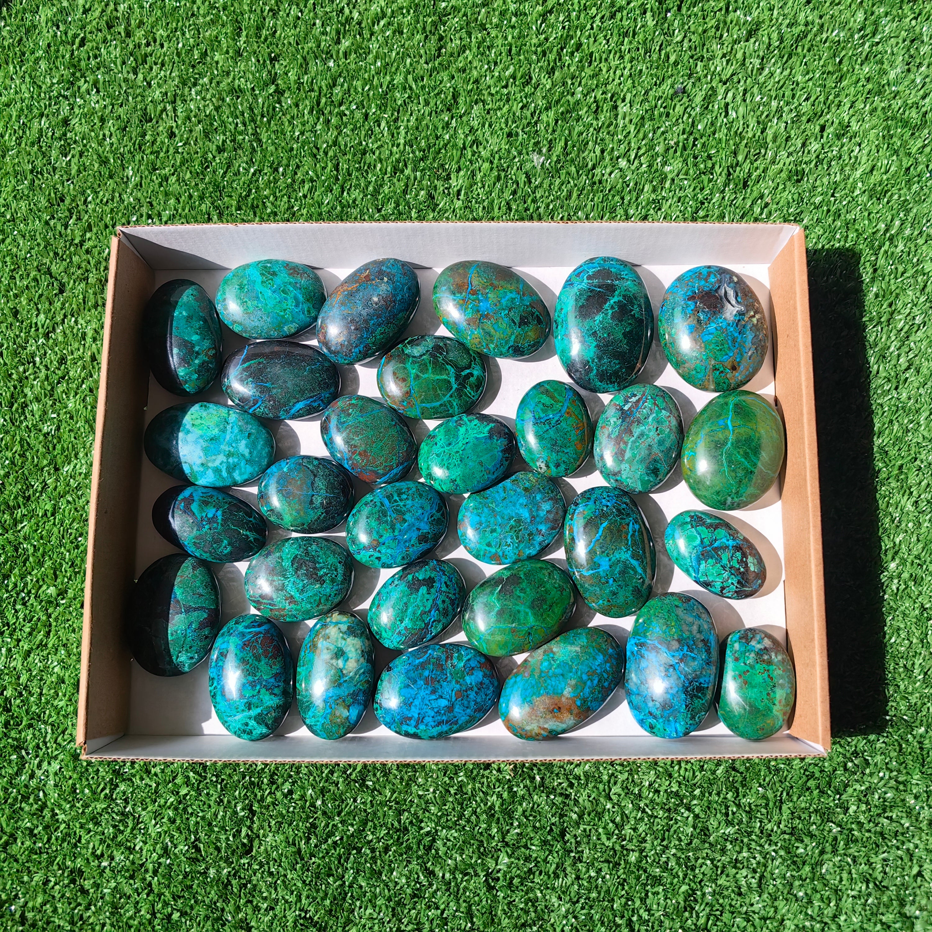 Lot 30 pcs Chrysocolla Palm