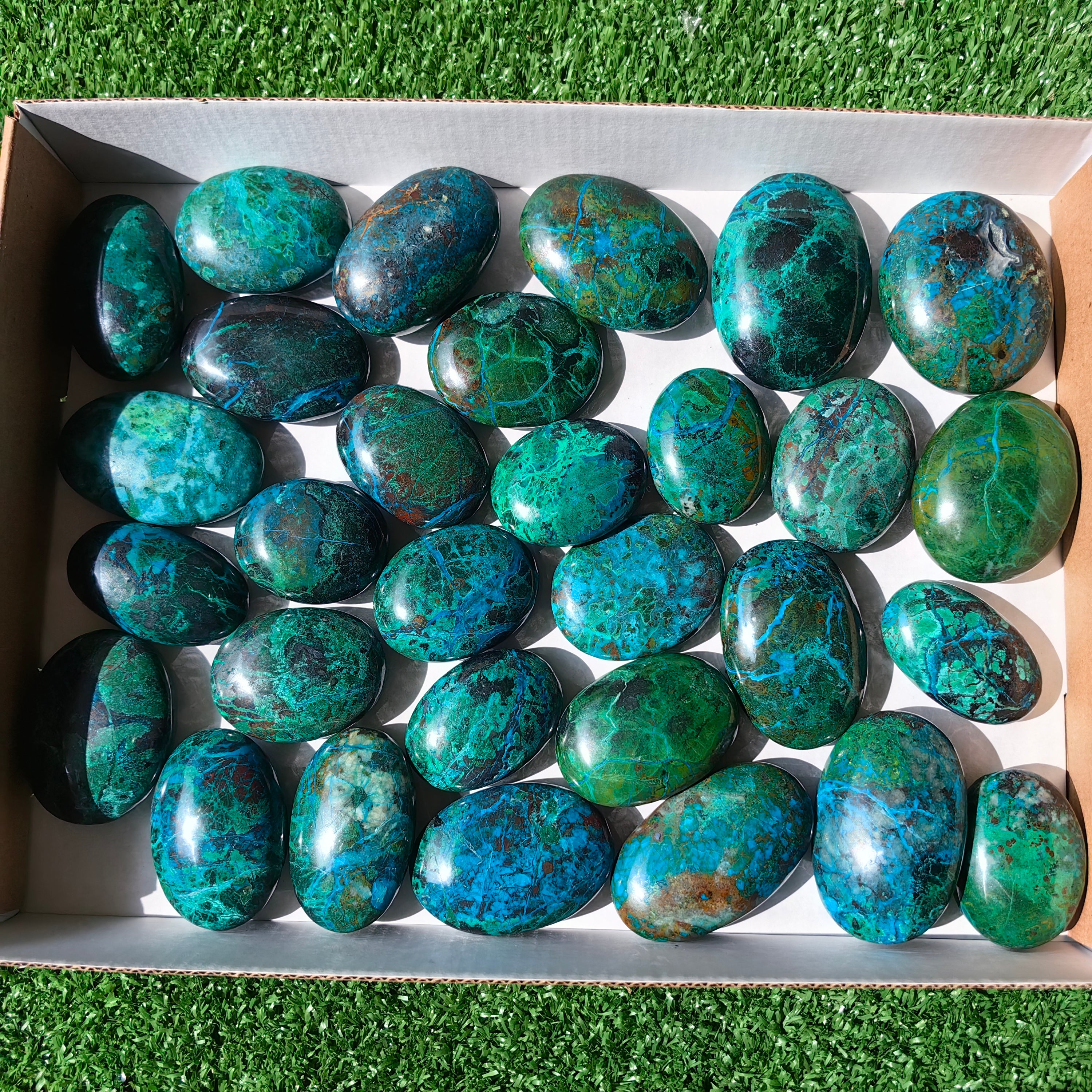 Lot 30 pcs Chrysocolla Palm