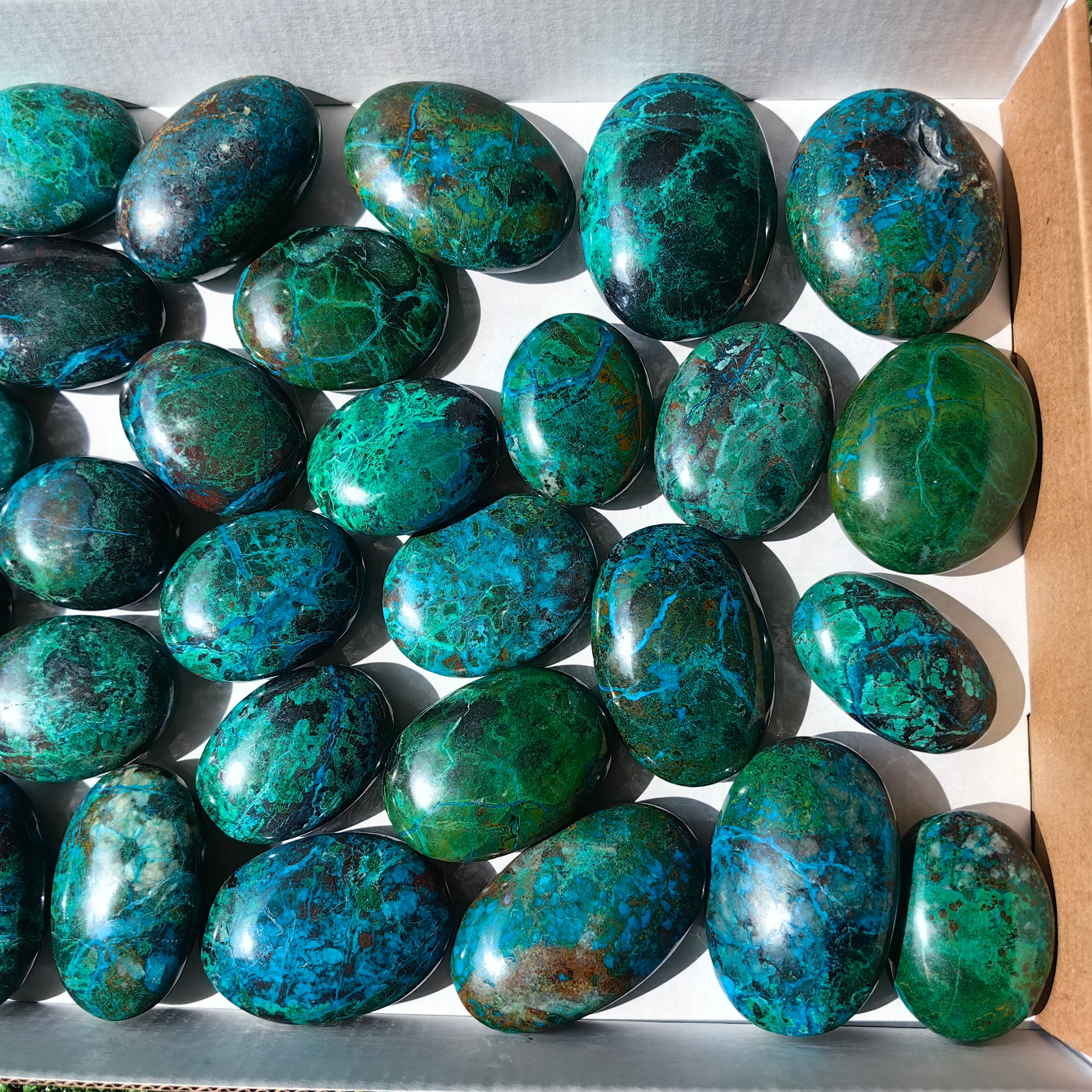 Lot 30 pcs Chrysocolla Palm