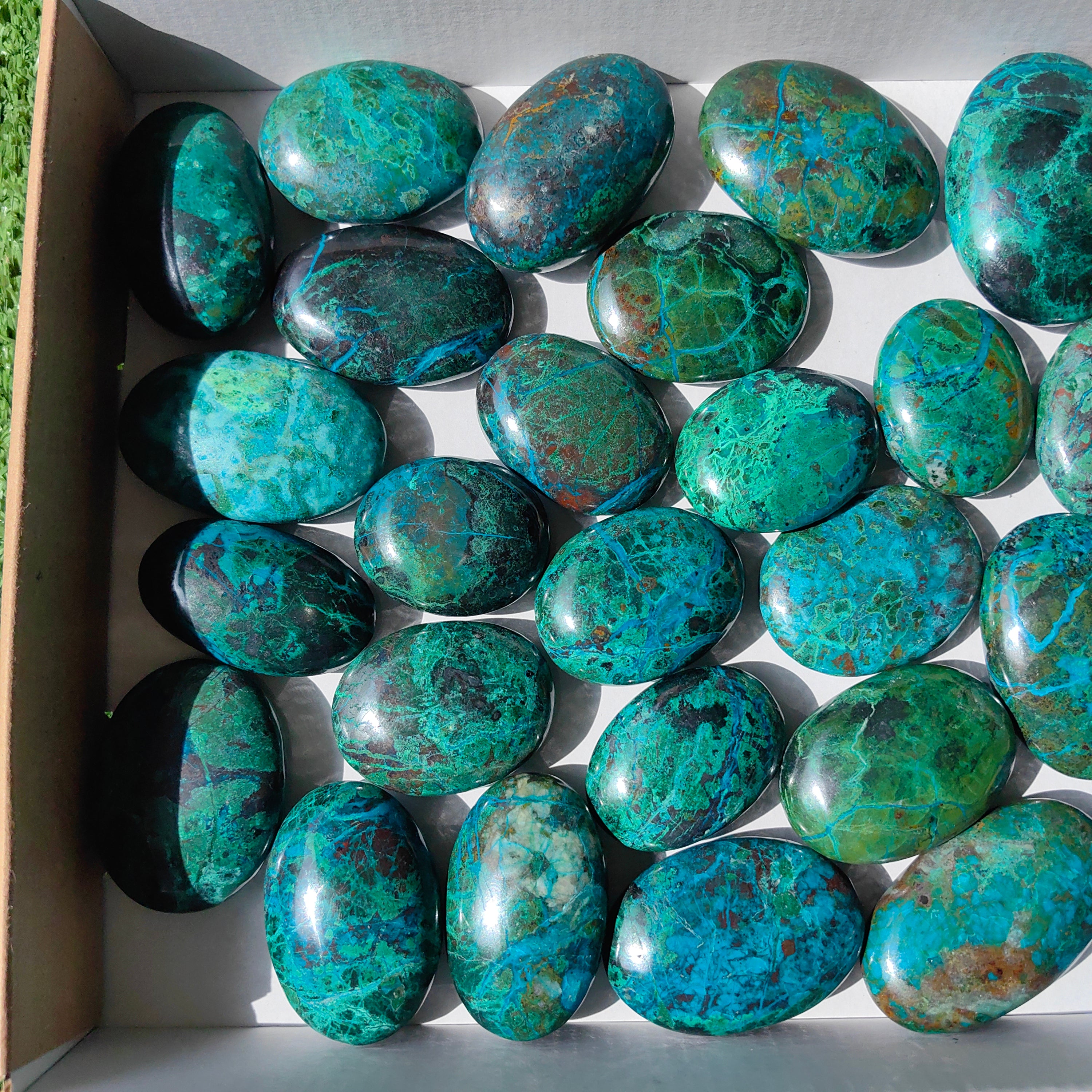 Lot 30 pcs Chrysocolla Palm