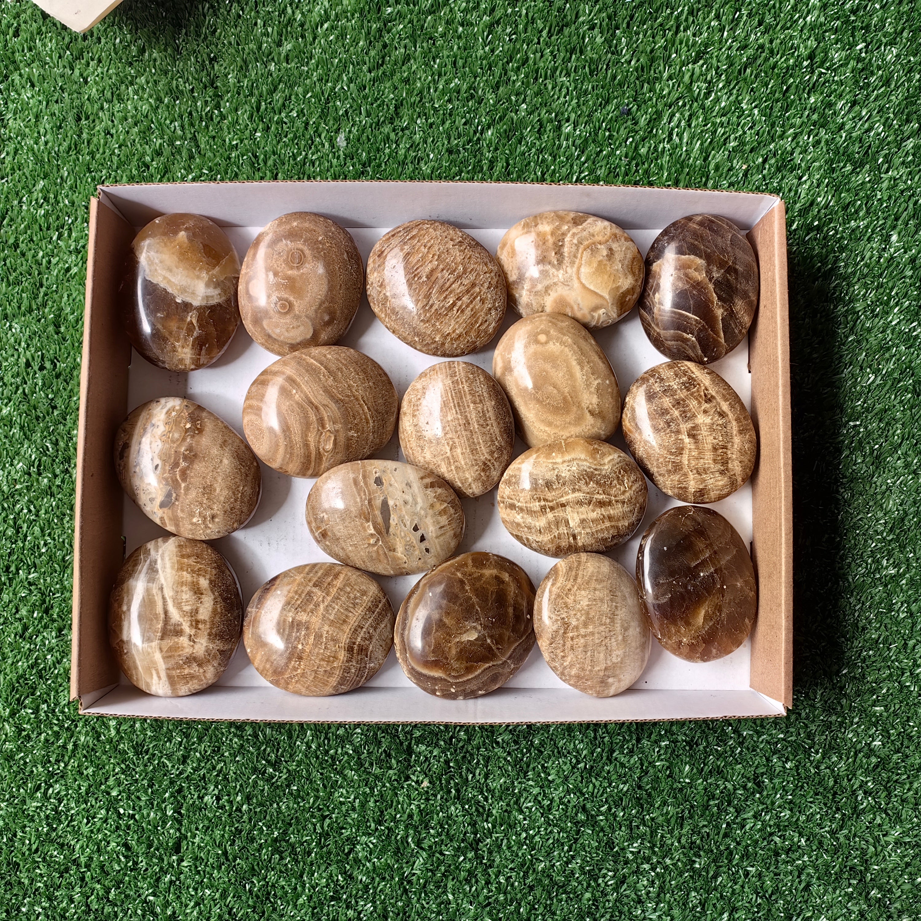 Lot 2.2 Kg Aragonite Palm