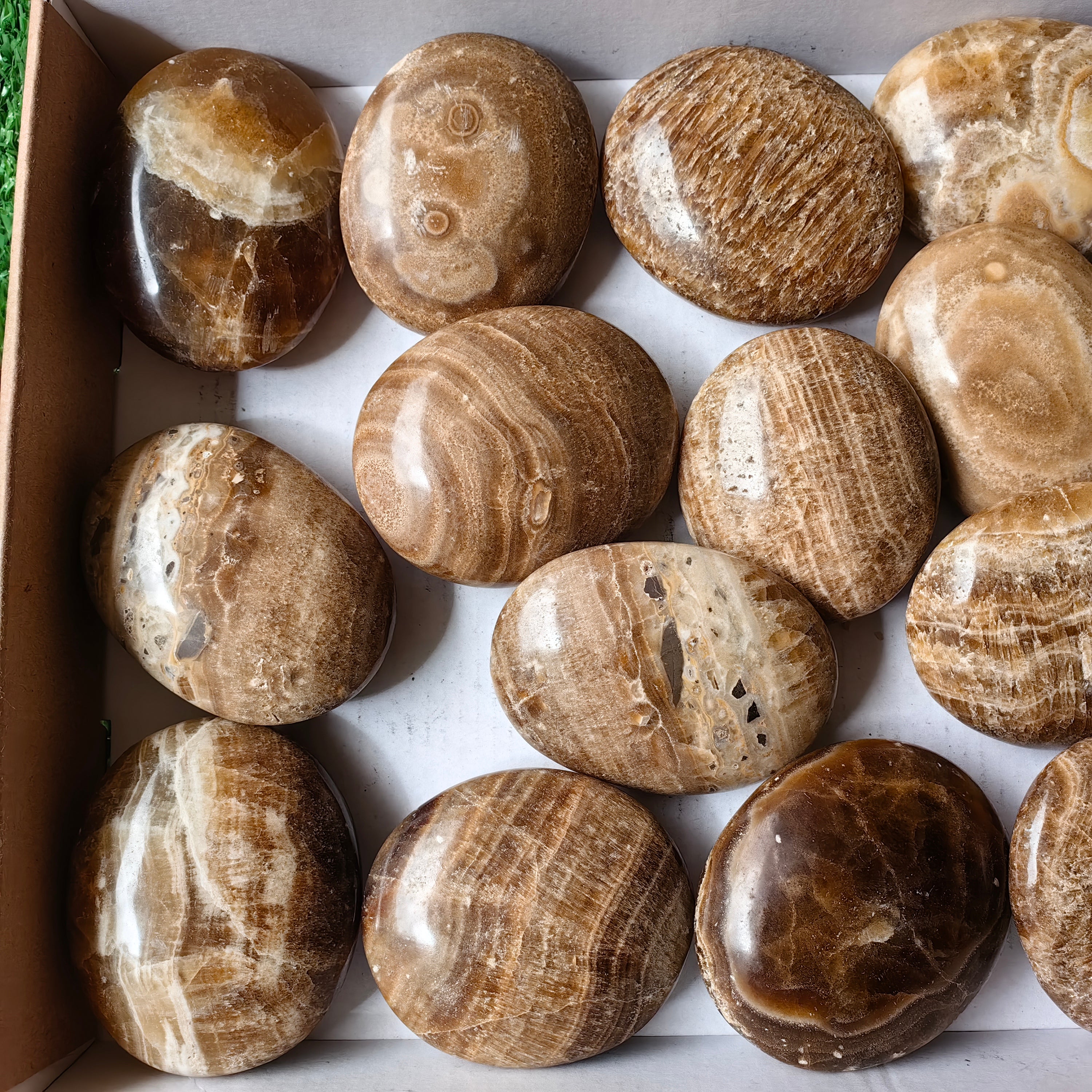 Lot 2.2 Kg Aragonite Palm