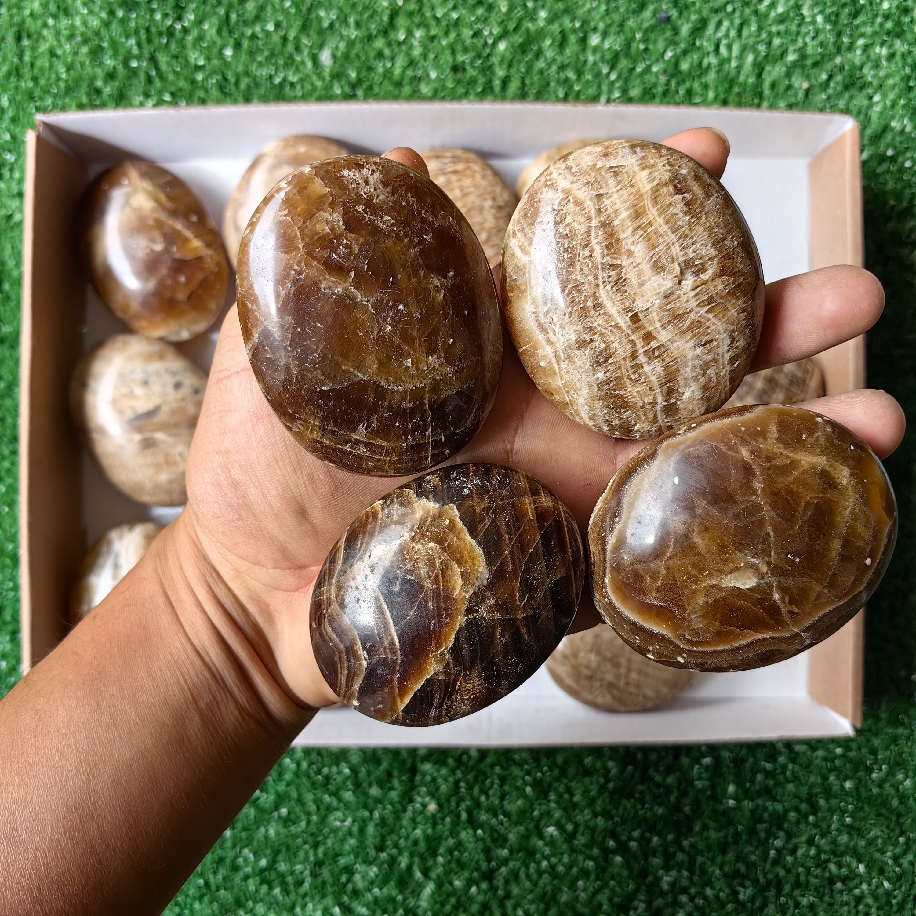 Lot 2.2 Kg Aragonite Palm
