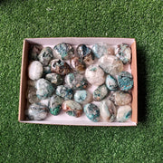 Lot 29 pcs Chrysocolla on Quartz Palm