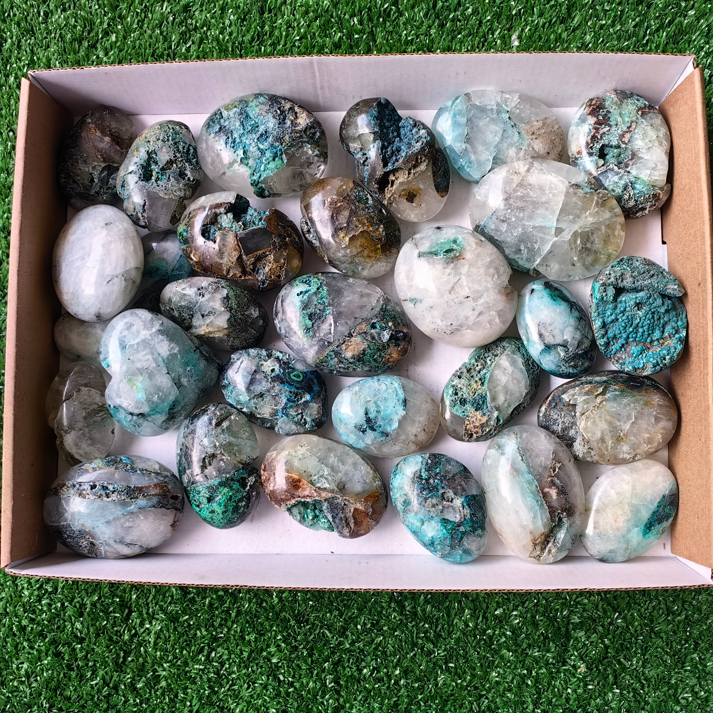 Lot 29 pcs Chrysocolla on Quartz Palm