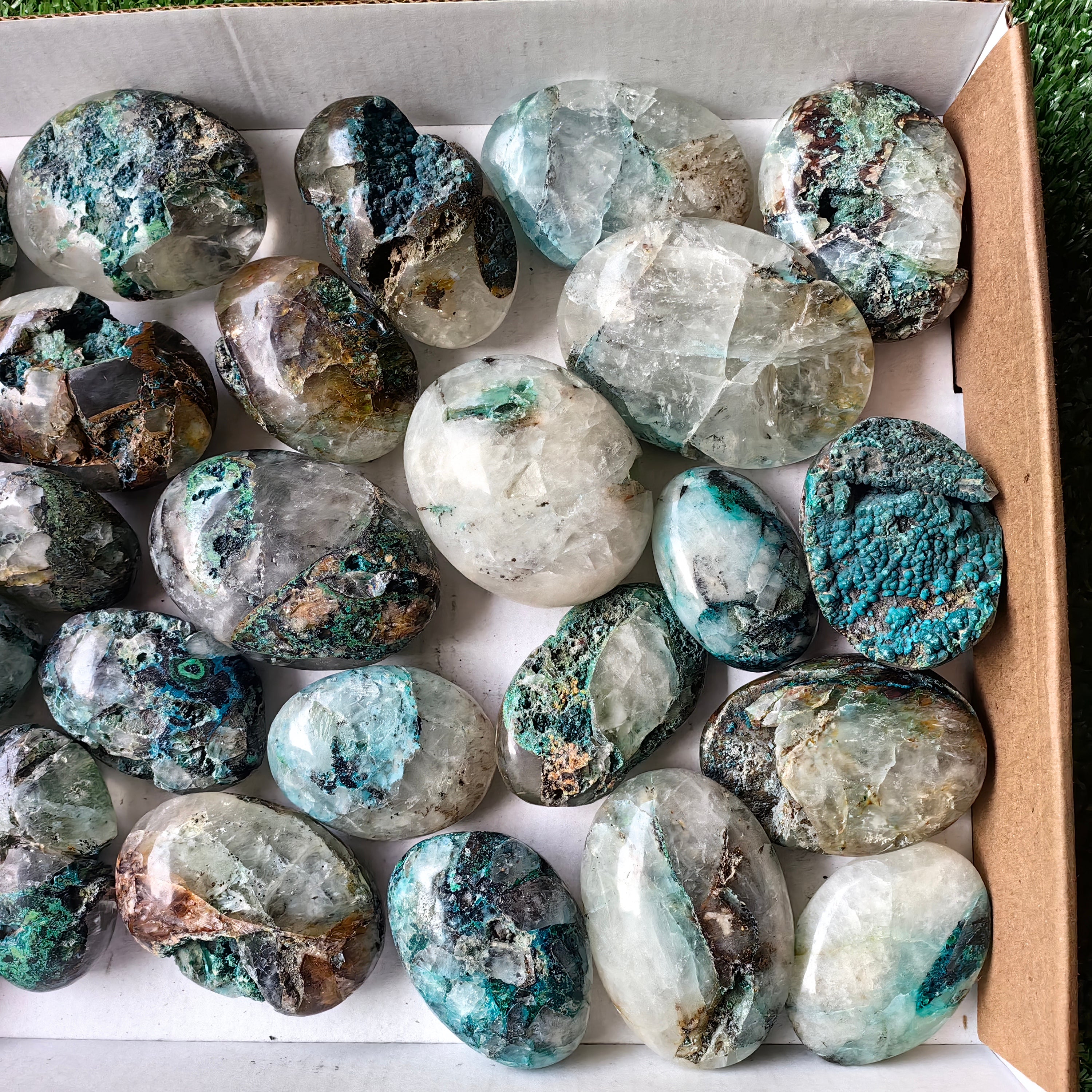 Lot 29 pcs Chrysocolla on Quartz Palm