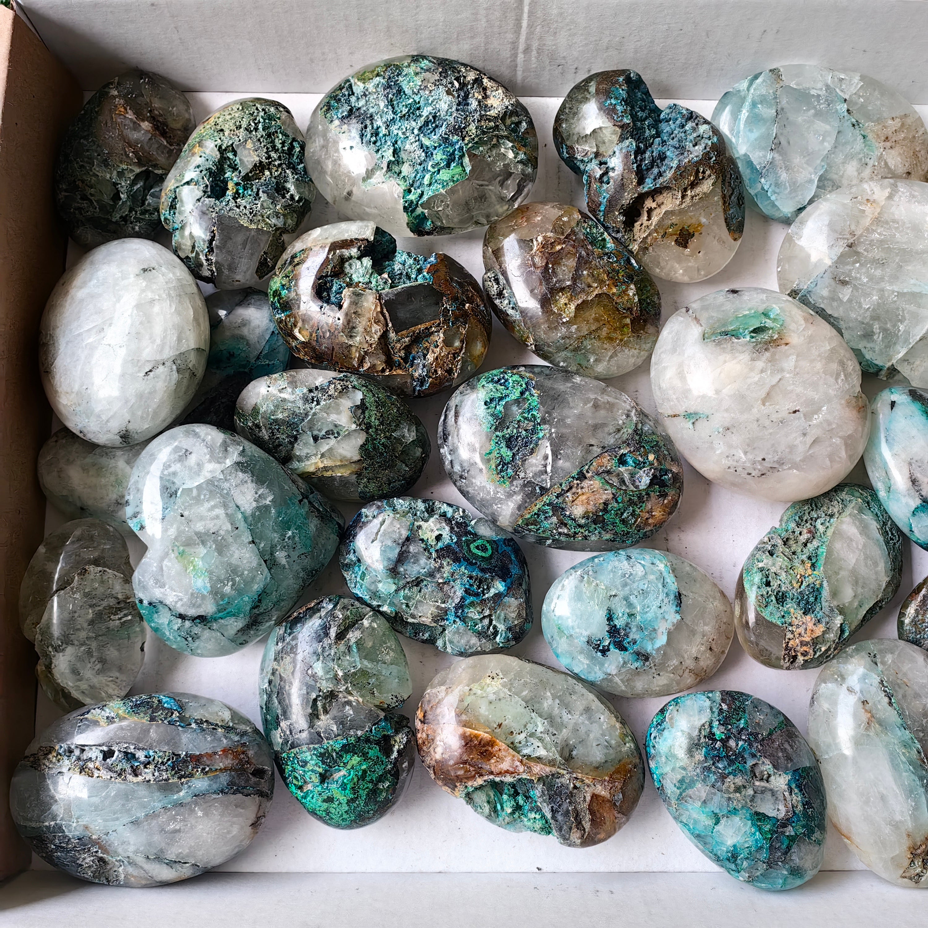 Lot 29 pcs Chrysocolla on Quartz Palm