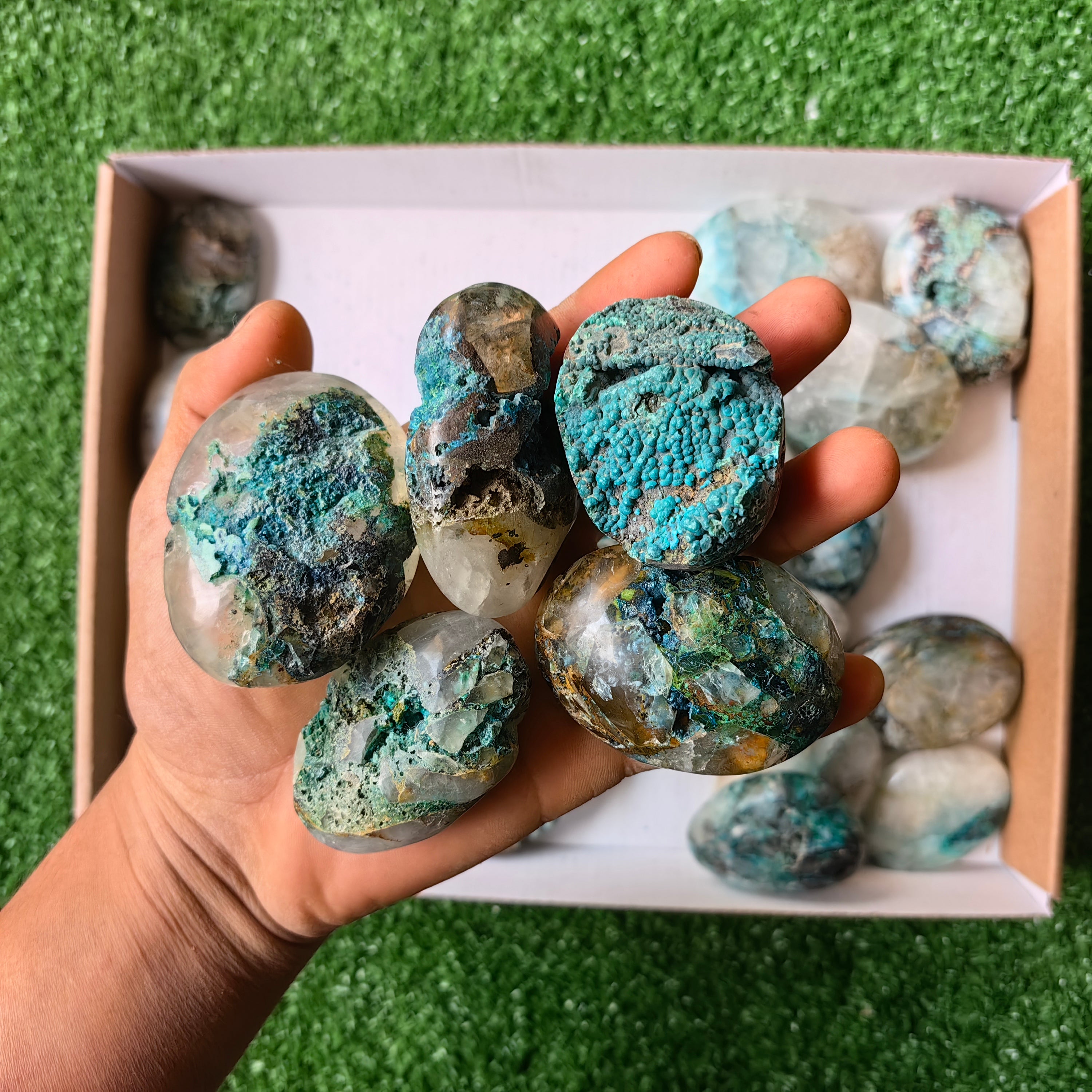Lot 29 pcs Chrysocolla on Quartz Palm