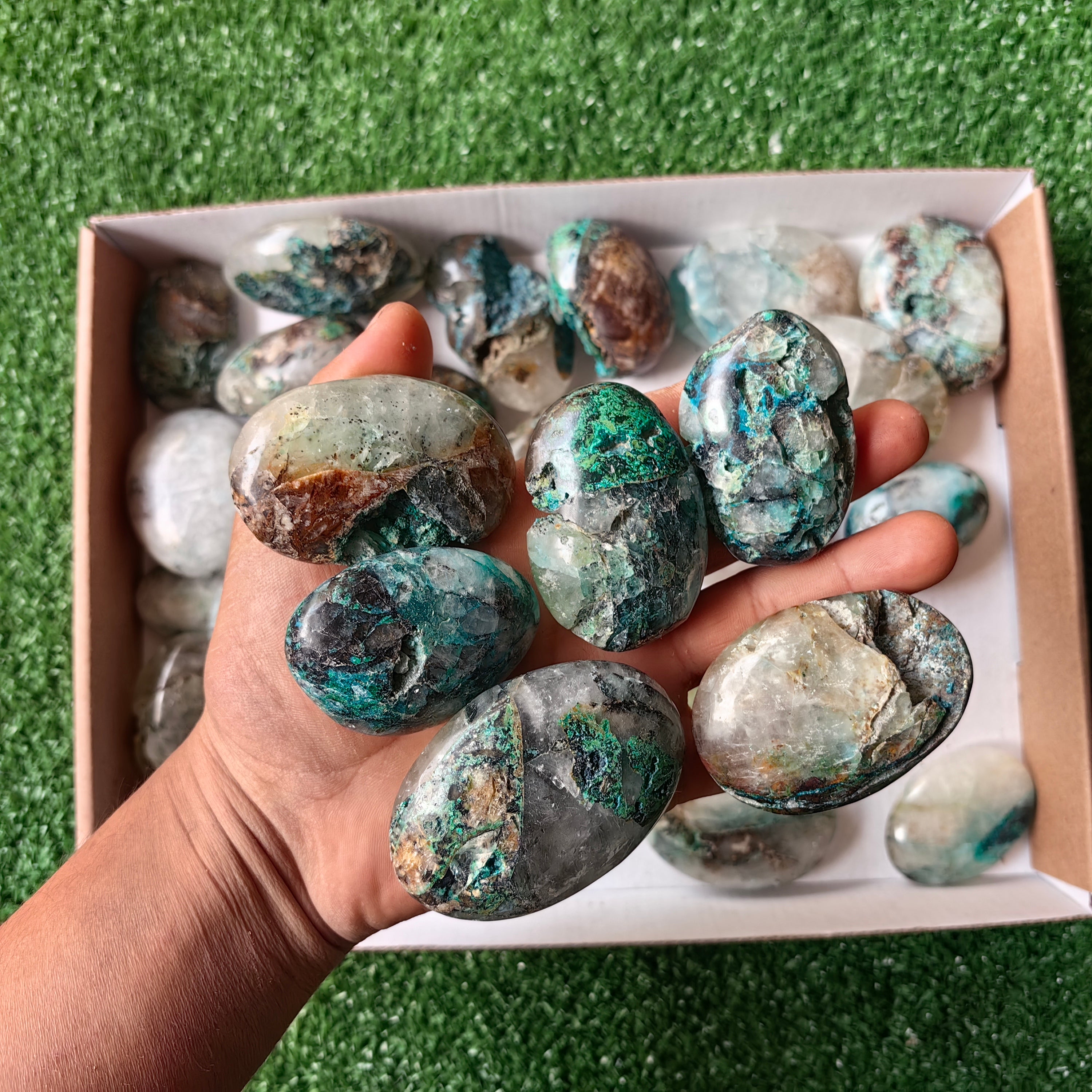 Lot 29 pcs Chrysocolla on Quartz Palm
