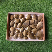 Lot 28 pcs Chalcopyrite Palm and Heart