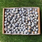 Lot 4 kg Angelite Tumbled