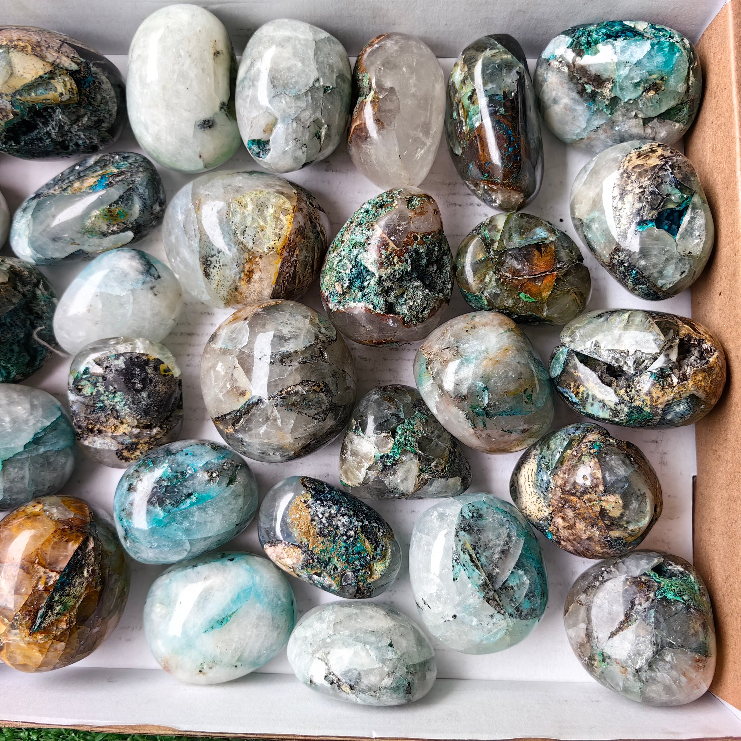 Lot 32 pcs Quantum Quattro Free Form