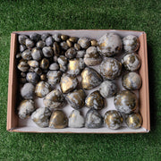 Lot 3.7 kg Chalcopyrite on Quartz Mixed