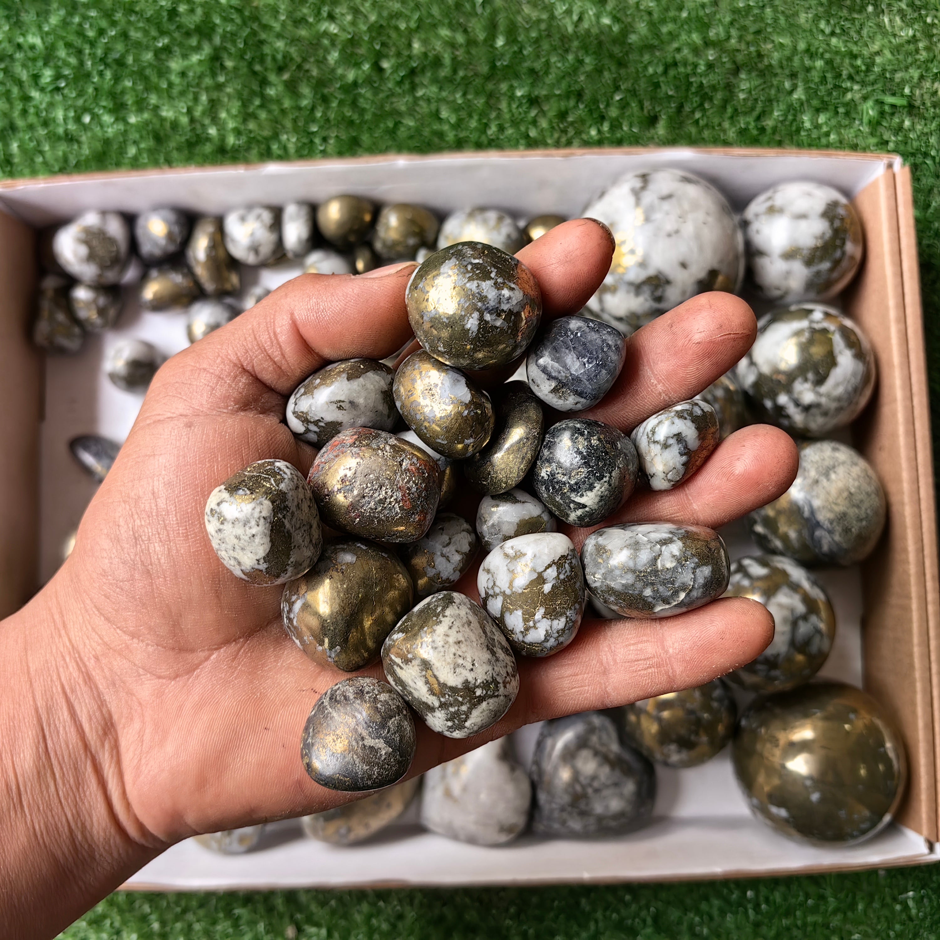 Lot 3.7 kg Chalcopyrite on Quartz Mixed