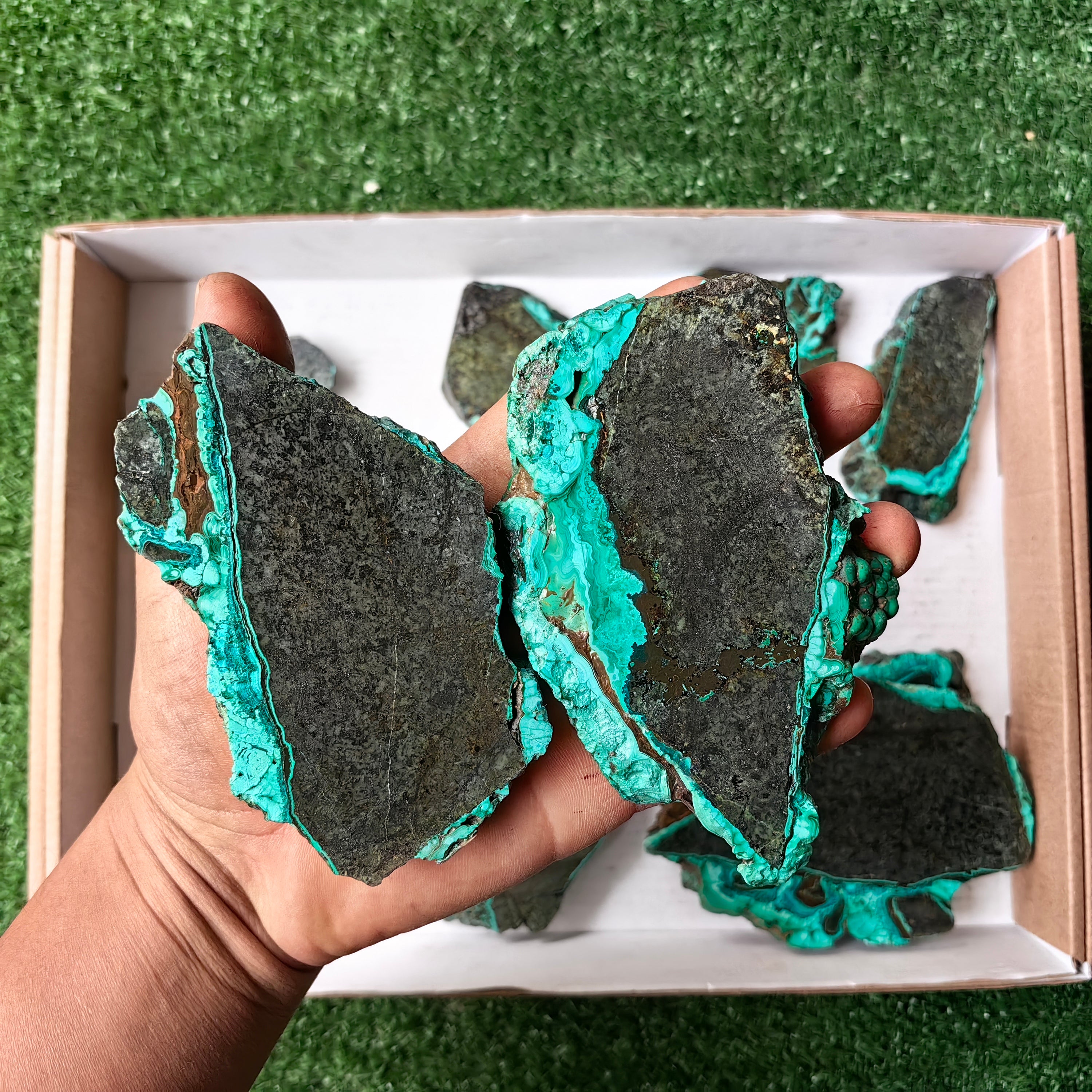 Lot 10 pcs Malachite Slices