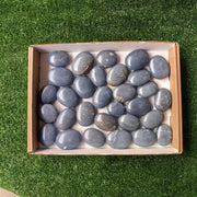 Lot 30 pcs Angelite Palm