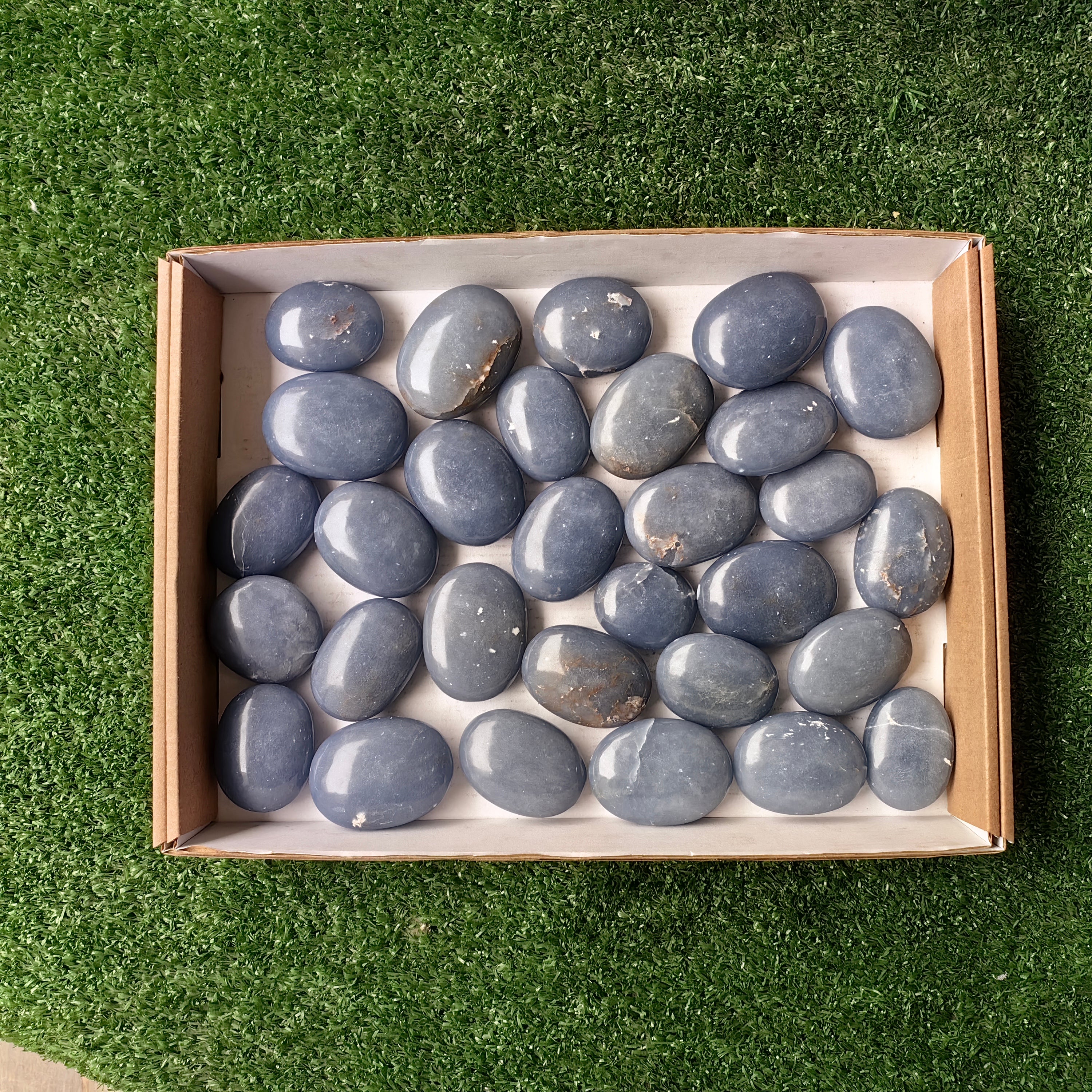 Lot 30 pcs Angelite Palm