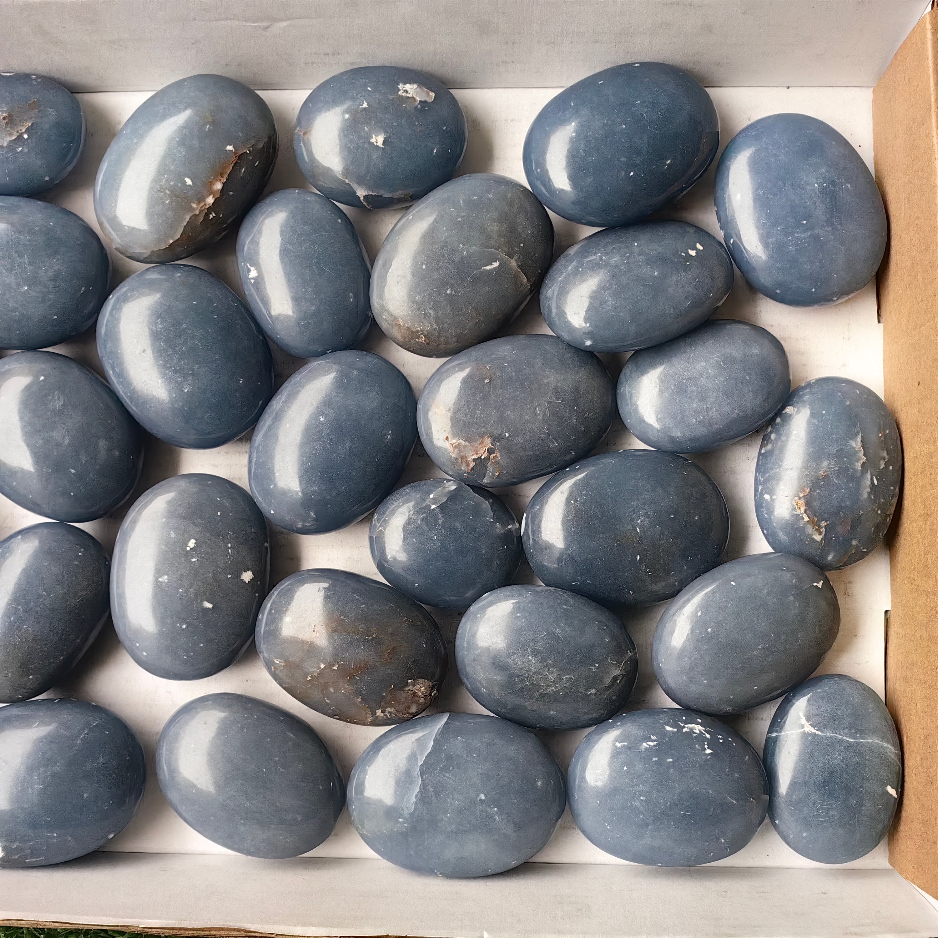 Lot 30 pcs Angelite Palm
