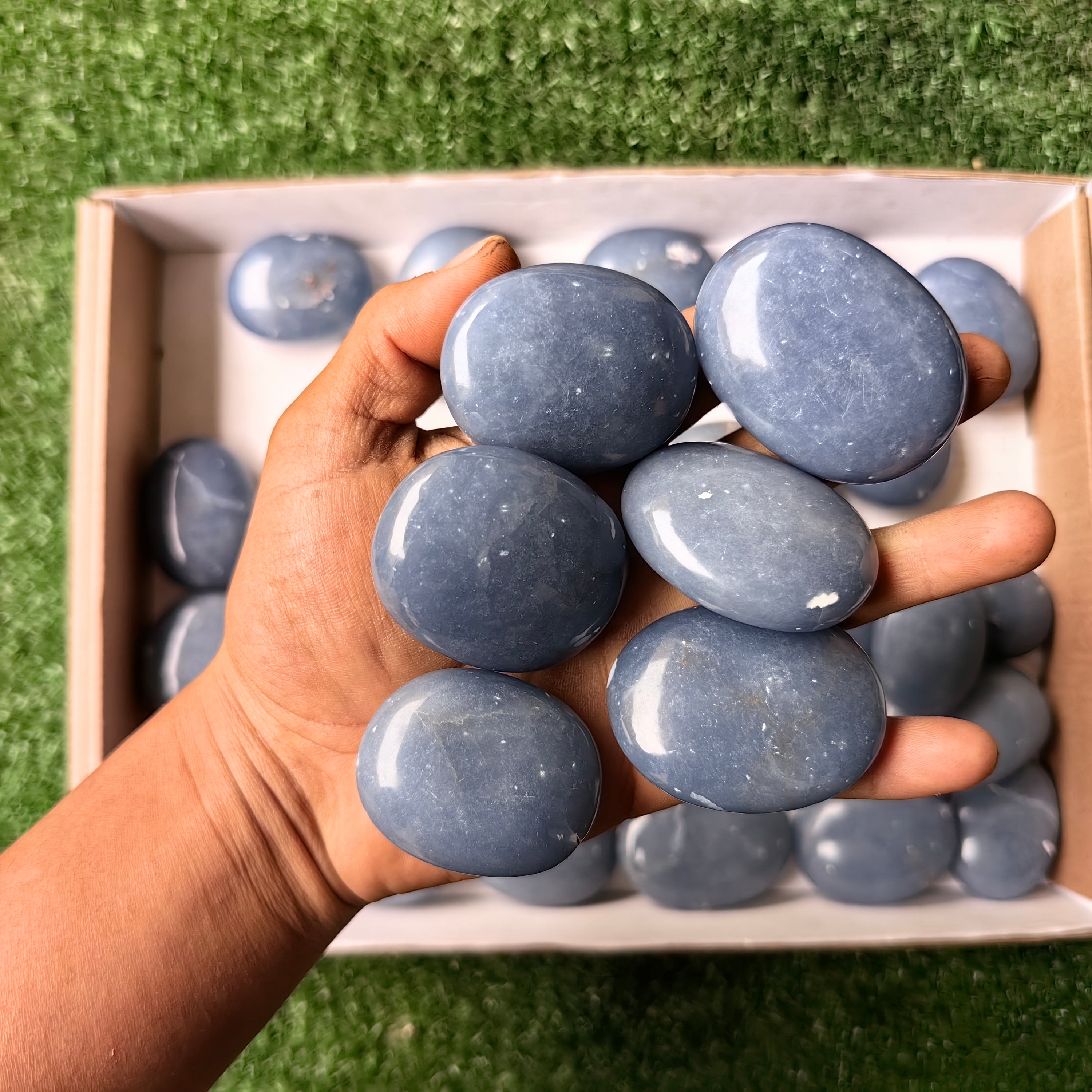 Lot 30 pcs Angelite Palm